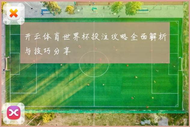 开云体育世界杯投注攻略全面解析与技巧分享