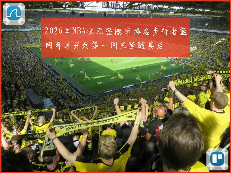 2026年NBA状元签概率排名步行者篮网奇才并列第一国王紧随其后