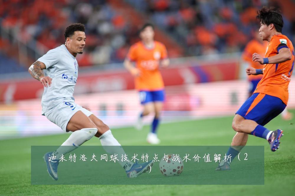 迪米特洛夫网球技术特点与战术价值解析(2)
