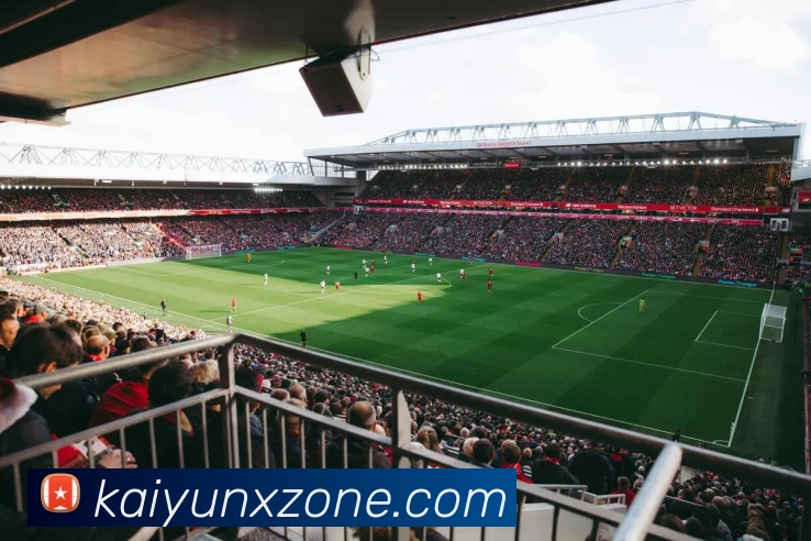 开云娱乐全站App